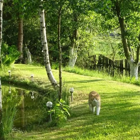 Leszczynki Apartmán