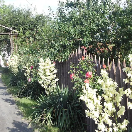 Leszczynki