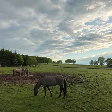 Leszczynki *