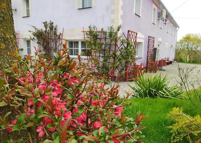 아파트 Leszczynki