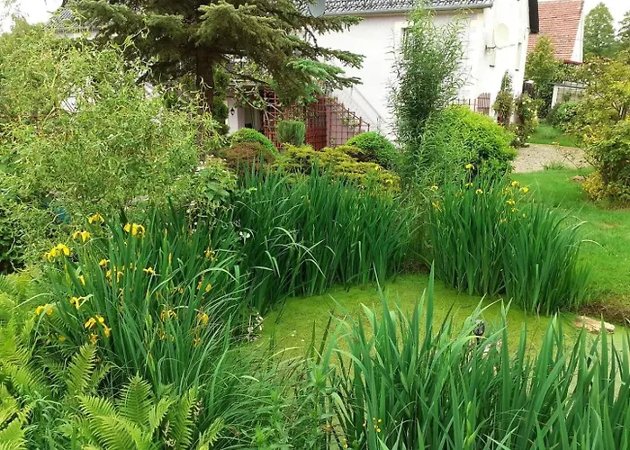 아파트 Leszczynki *