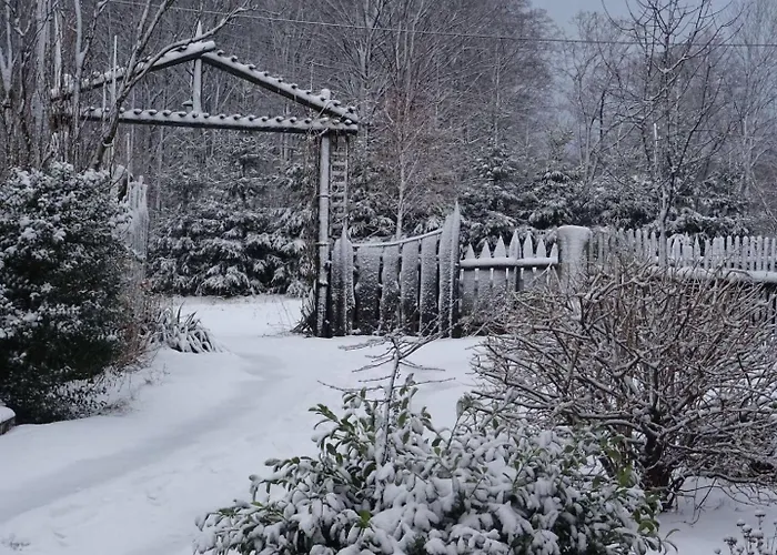 Leszczynki 아파트 *