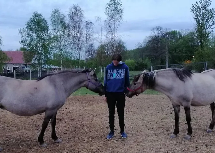 Leszczynki 레스나