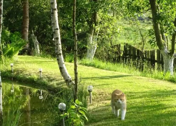 Leszczynki 아파트