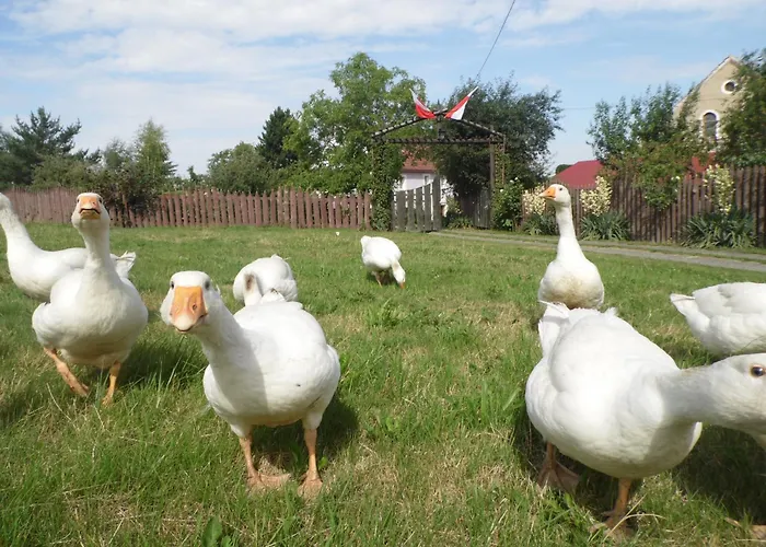 아파트 Leszczynki