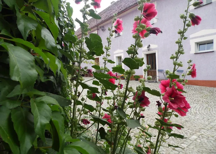 Leszczynki 레스나