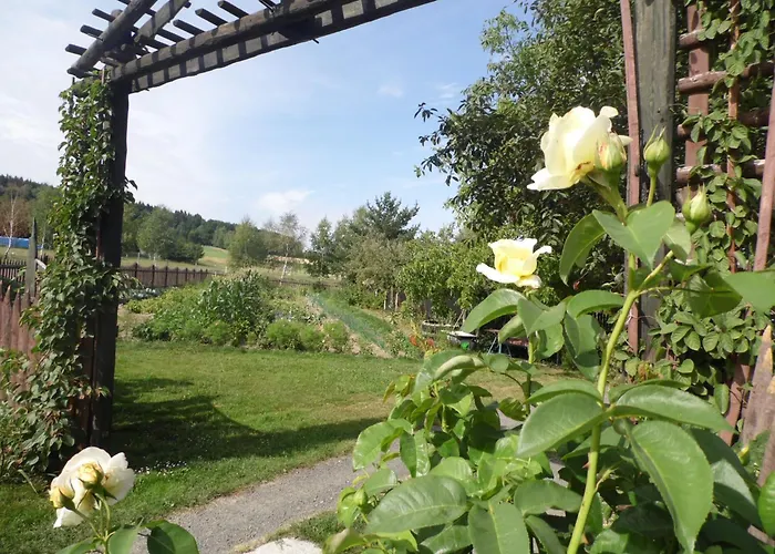 Leszczynki 아파트 레스나