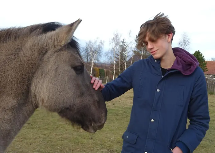 Leszczynki 아파트 레스나