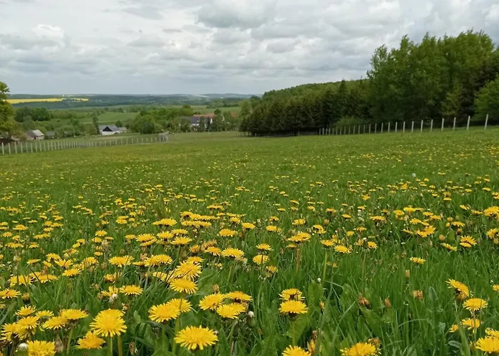 Leszczynki * 레스나